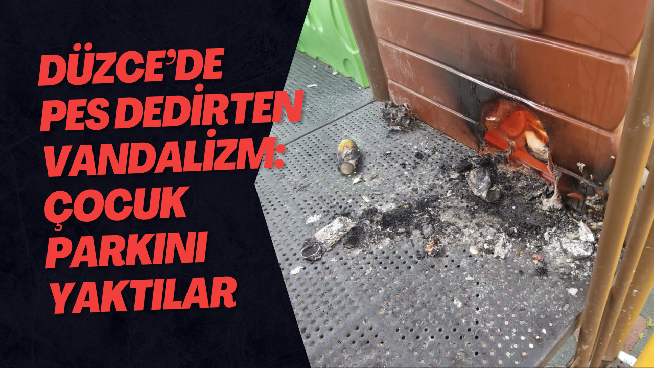 Düzce’de Pes Dedirten Vandalizm: Çocuk Parkını Yaktılar