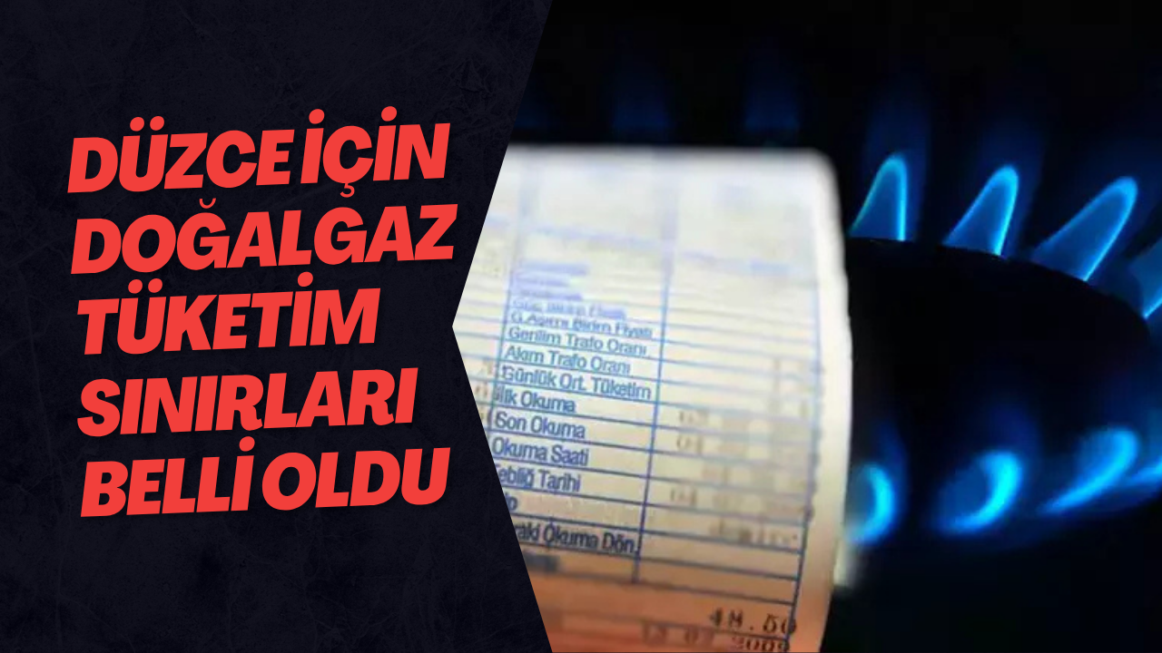 Düzce İçin Doğalgaz Tüketim Sınırları Belli Oldu