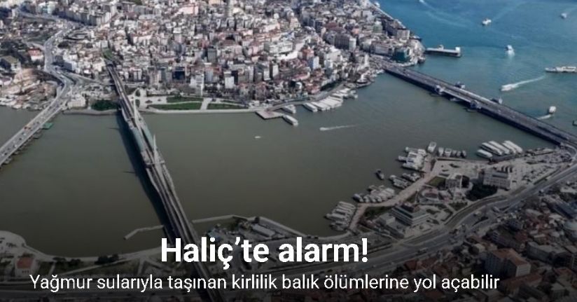 Haliç’te alarm: Yağmur sularıyla taşınan kirlilik balık ölümlerine yol açabilir