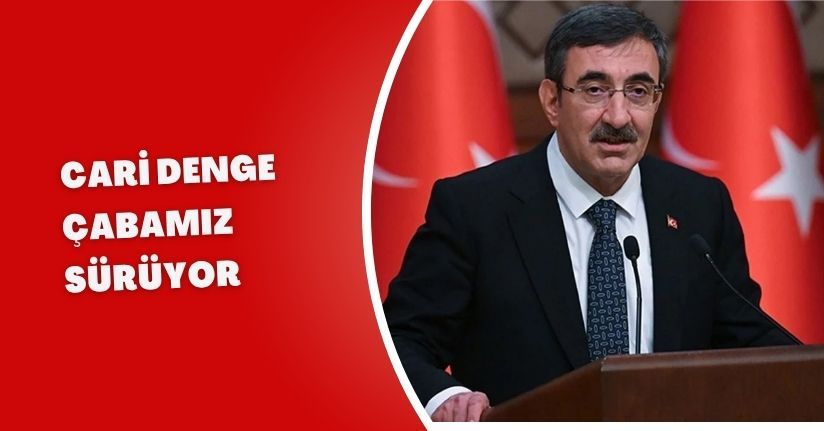 Cari denge çabamız sürüyor