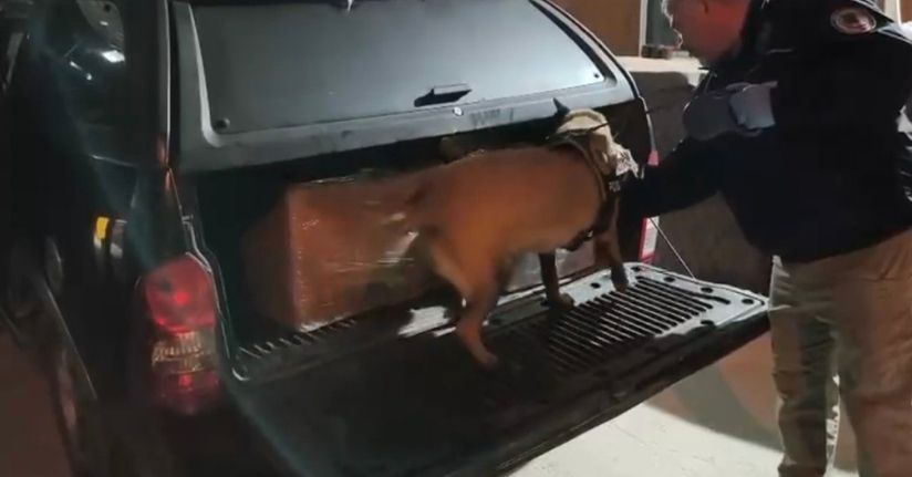 Samsun’da uyuşturucu operasyonunda 165 bin hap ele geçirildi