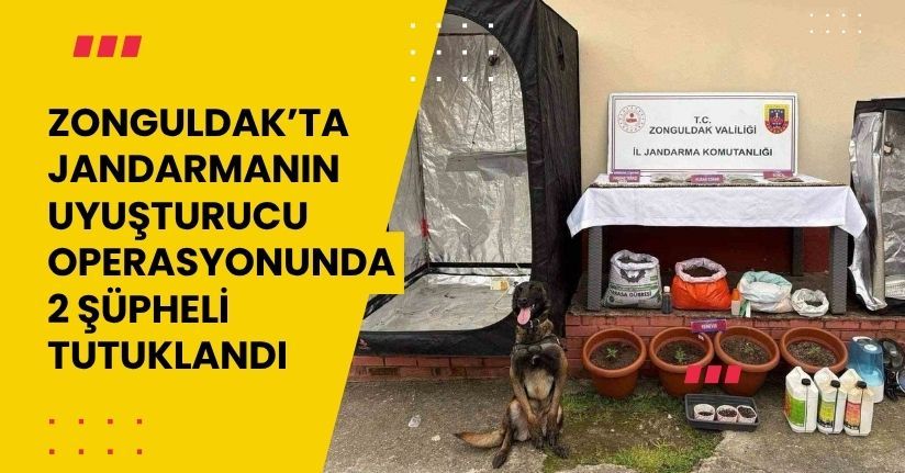 Zonguldak’ta jandarmanın uyuşturucu operasyonunda 2 şüpheli tutuklandı
