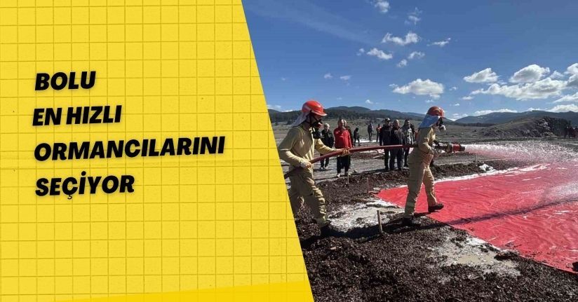 Bolu en hızlı ormancılarını seçiyor