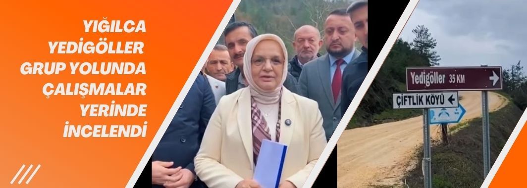 Yığılca Yedigöller Grup Yolunda Çalışmalar Yerinde İncelendi