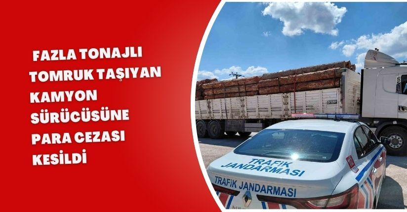 Bolu’da fazla tonajlı tomruk taşıyan kamyon sürücüsüne para cezası kesildi