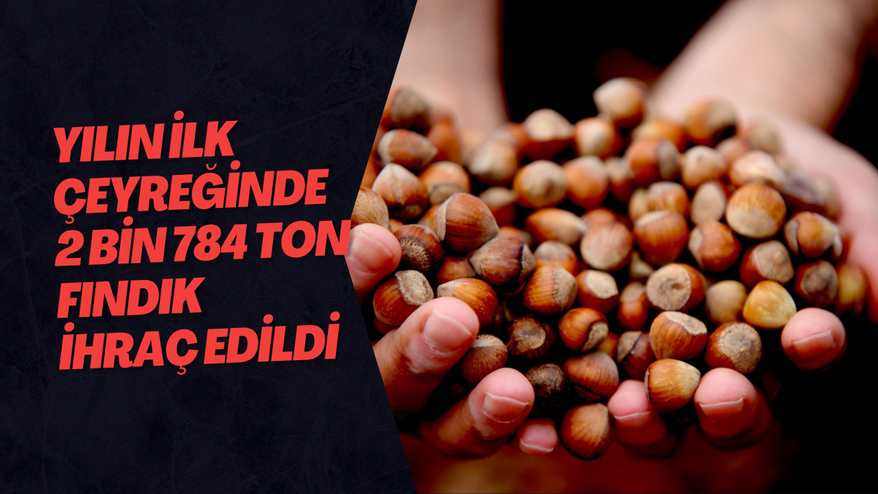 Yılın İlk Çeyreğinde 2 Bin 784 Ton Fındık İhraç Edildi