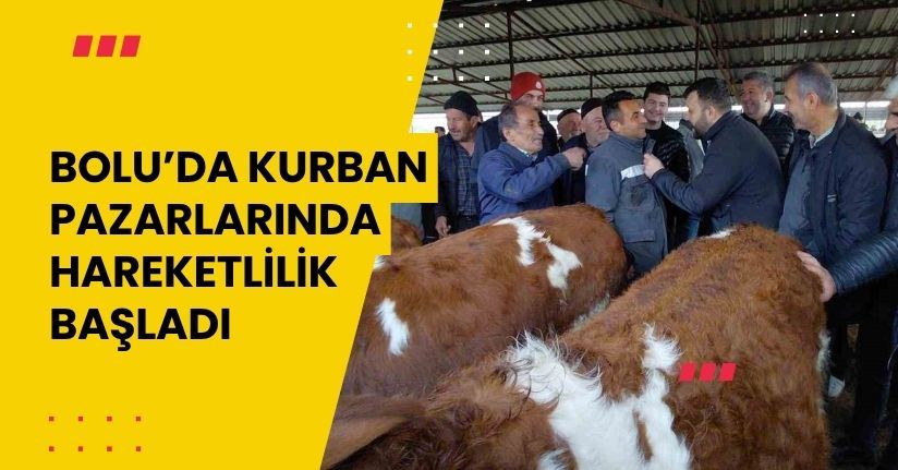 Bolu’da kurban pazarlarında hareketlilik başladı