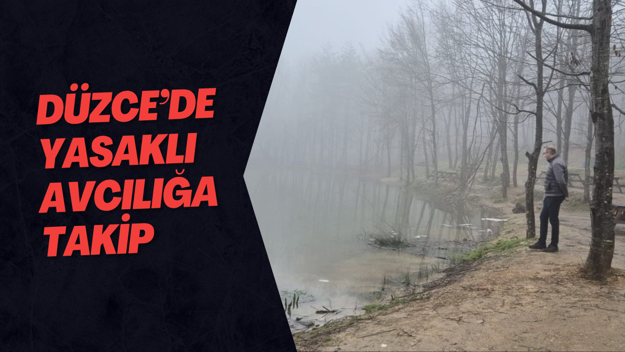 Düzce’de Yasaklı Avcılığa Takip