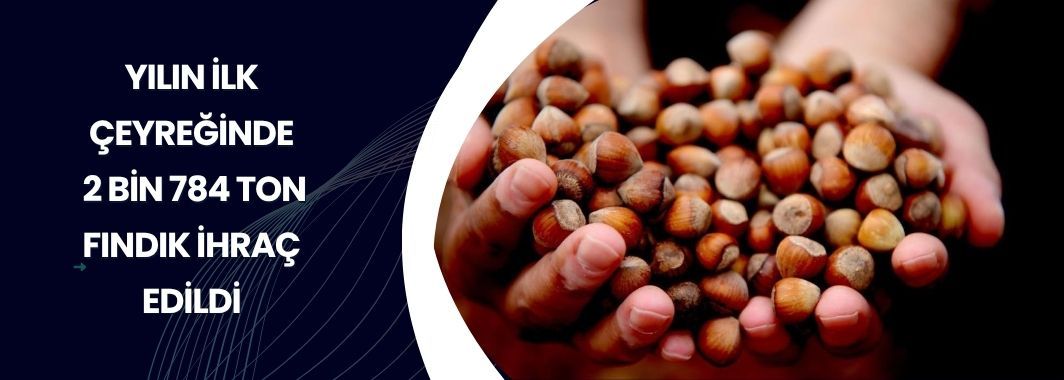 Yılın İlk Çeyreğinde 2 Bin 784 Ton Fındık İhraç Edildi