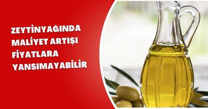 Zeytinyağında maliyet artışı fiyatlara yansımayabilir