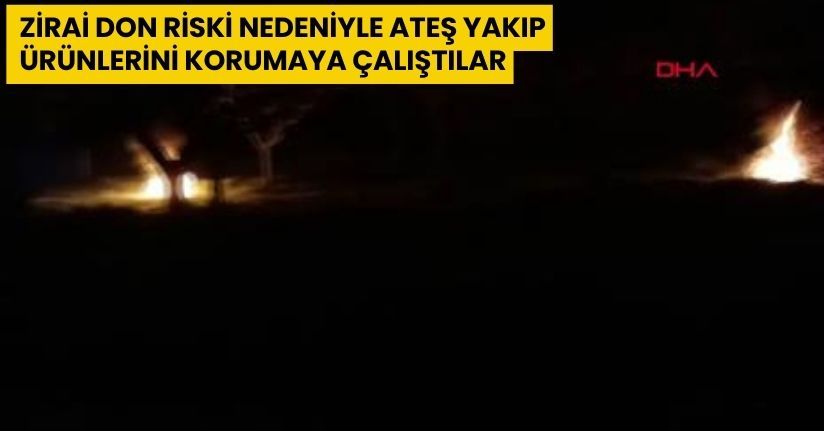 Zirai don riski nedeniyle ateş yakıp, ürünlerini korumaya çalıştılar