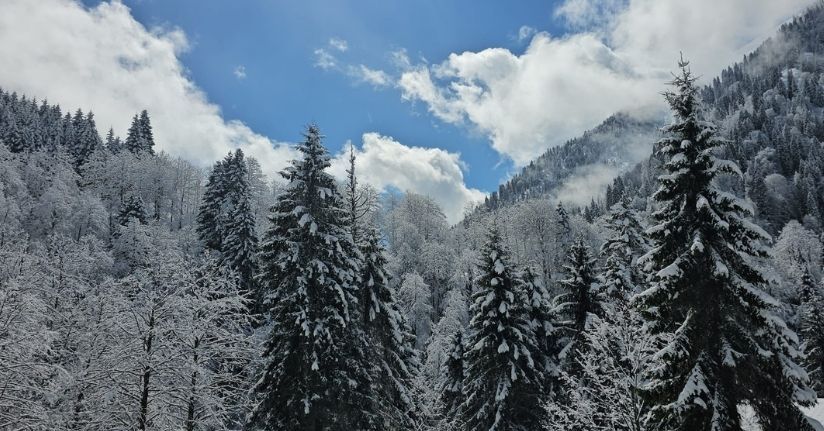 Ayder Yaylası'na nisanda kar yağdı
