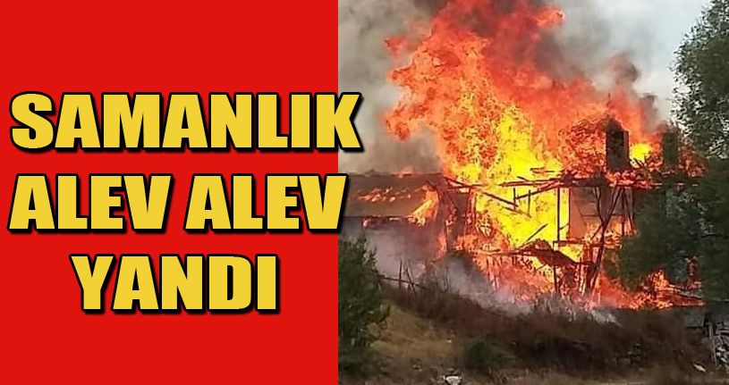 Bolu’da çıkan yangında ev, ahır ve samanlık alev alev yandı