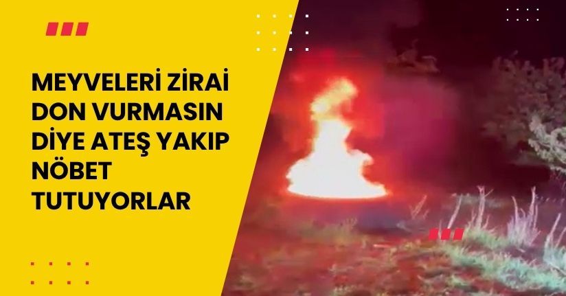 Meyveleri zirai don vurmasın diye ateş yakıp nöbet tutuyorlar