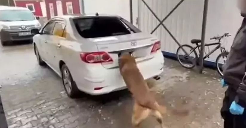 Diyarbakır'da 6 kilo kokain ele geçirildi; 1 tutuklama