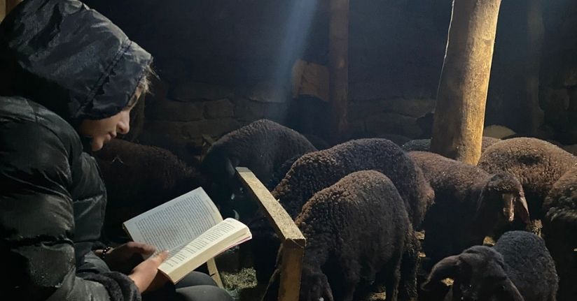 Gündüz hayvan bakıyor gece hayalleri için çalışıyor