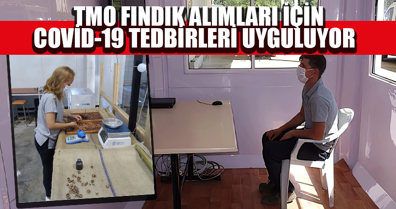 TMO Fındık Alımları İçin Covid-19 Tedbirleri Uyguluyor