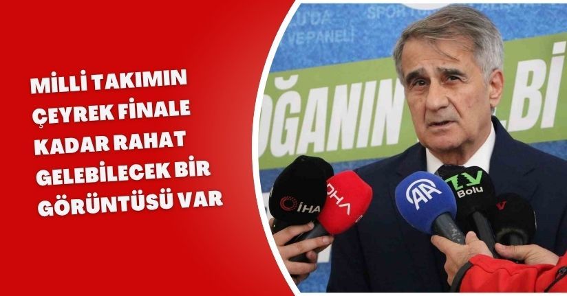Şenol Güneş: 