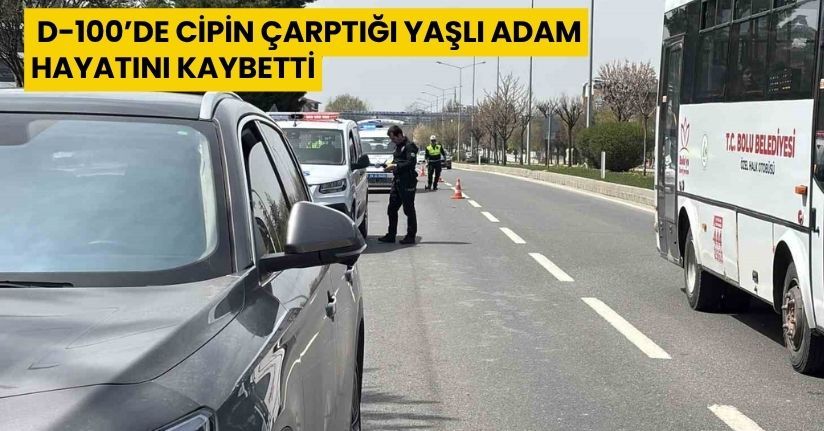 D-100’de cipin çarptığı yaşlı adam hayatını kaybetti