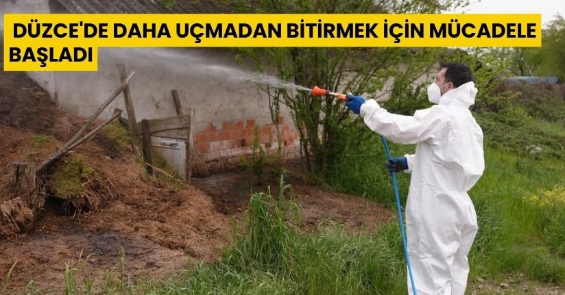 Düzce'de daha uçmadan bitirmek için mücadele başladı