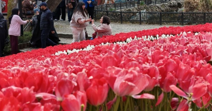 İstanbul'un simgesi laleler şehri yeniden renklendirdi
