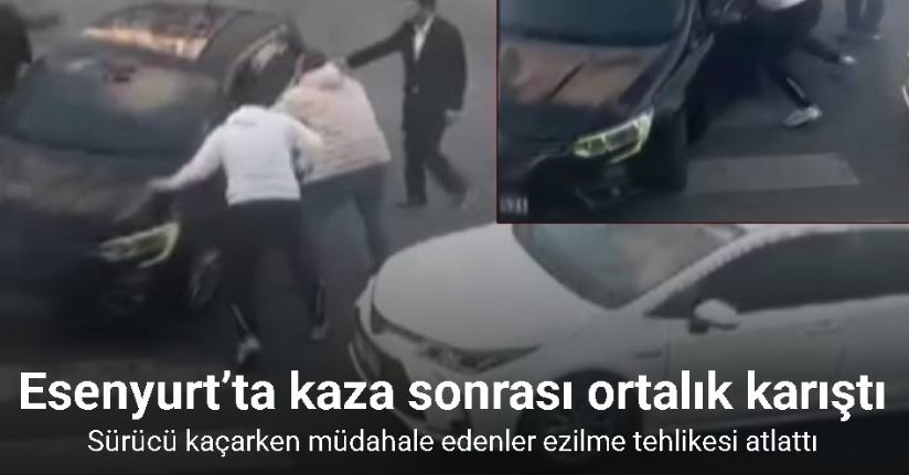 Kavga eden sokak köpeklerine tüfekle ateş edip bir köpeği öldürdü