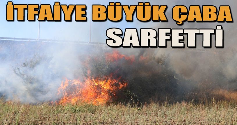 TEM’in yanındaki 2 dönümlük alan alan alev alev yandı