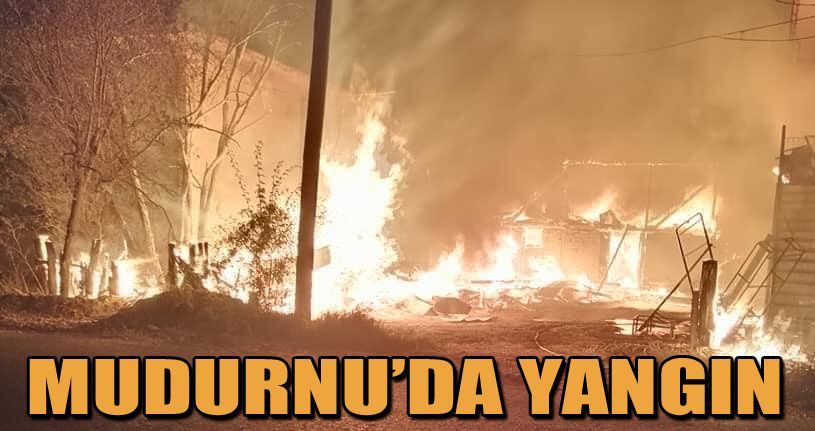 Evlerin arasındaki odunluk alev alev yandı