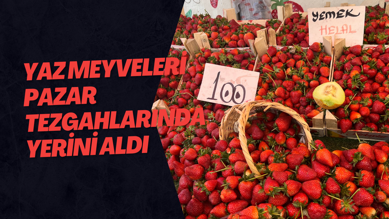 Yaz Meyveleri Pazar Tezgahlarında Yerini Aldı