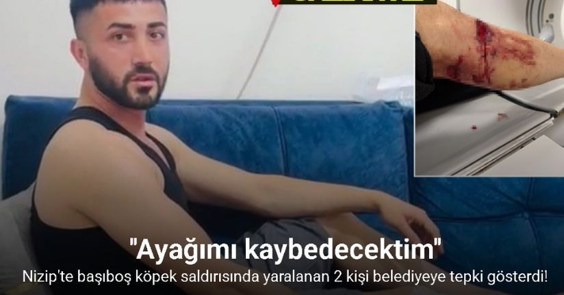 Nizip’te başıboş köpek saldırısında yaralanan 2 kişi belediyeye tepki gösterdi