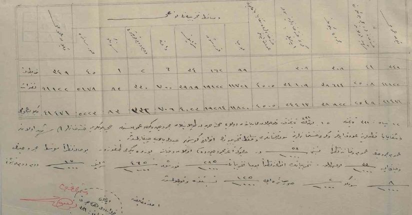 Çanakkale’de 1915 yılına ait sağlık raporu gün yüzüne çıktı