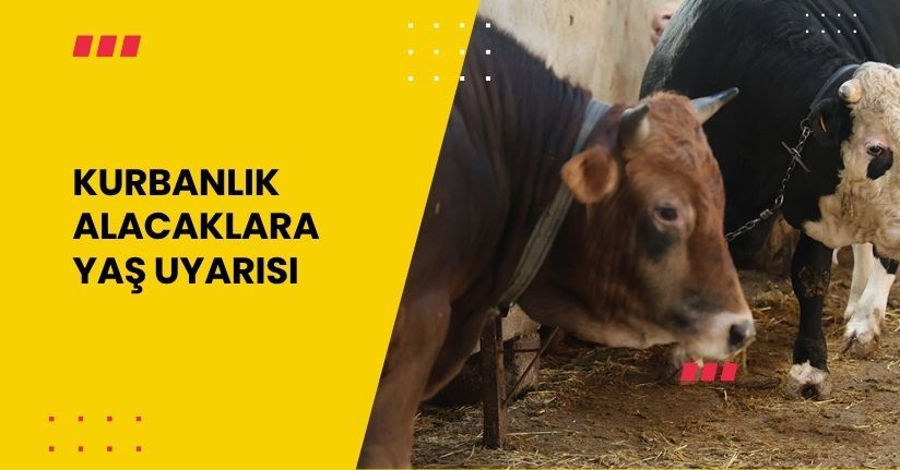 Kurbanlık alacaklara 