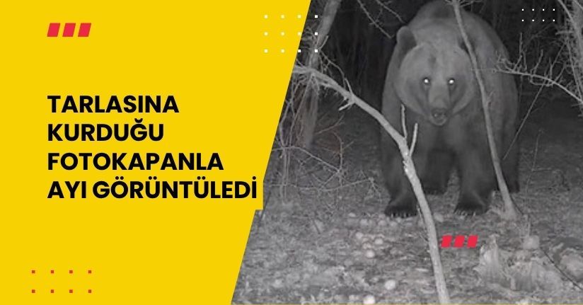 Tarlasına kurduğu fotokapanla ayı görüntüledi