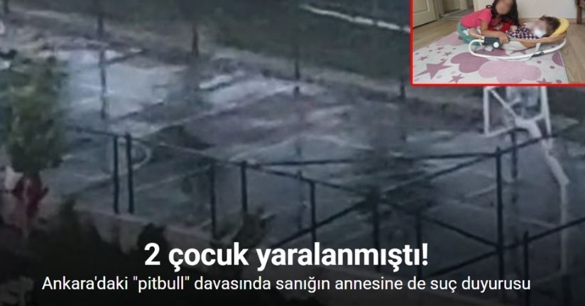 2 çocuğun yaralandığı 