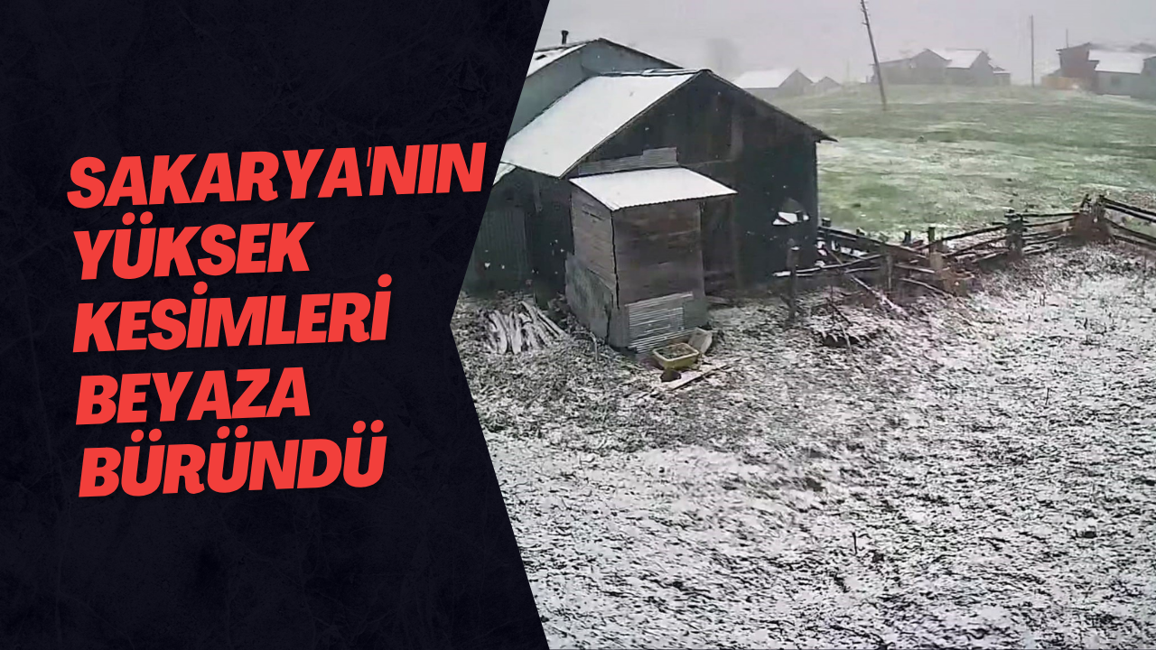 Sakarya'nın Yüksek Kesimleri Beyaza Büründü