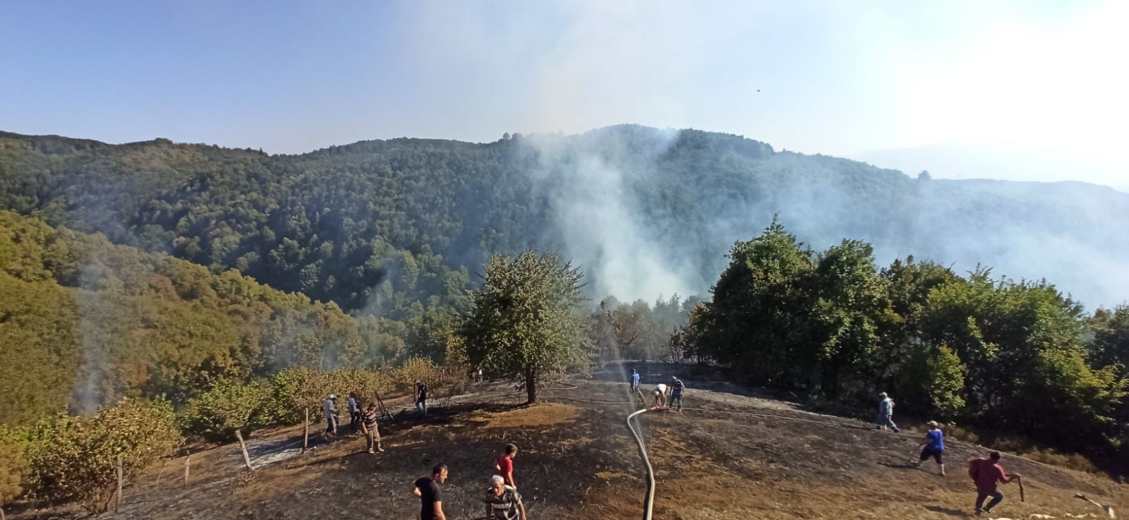 Bahçeşehir Yangın, Bahcesehir De Pazar Yerinde Yangin Panigi Kamerada : Kıbrıs postası kıbrıs haber siteleri arasında açık ara lider.