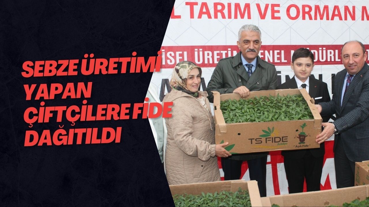 Sebze Üretimi Yapan Çiftçilere Fide Dağıtıldı