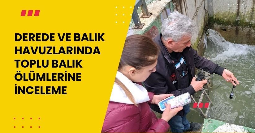 Derede ve balık havuzlarında toplu balık ölümlerine inceleme
