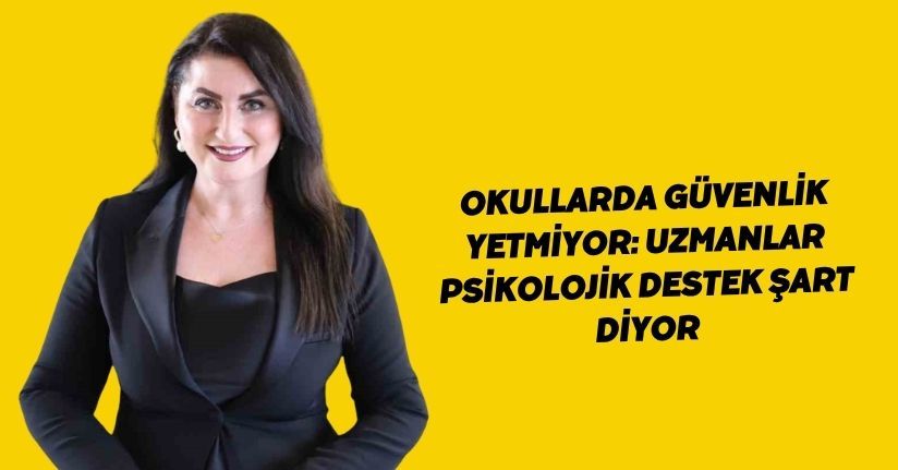 Okullarda güvenlik yetmiyor: Uzmanlar psikolojik destek şart diyor