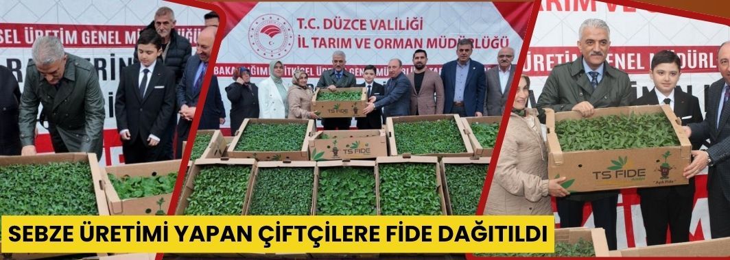 Sebze Üretimi Yapan Çiftçilere Fide Dağıtıldı