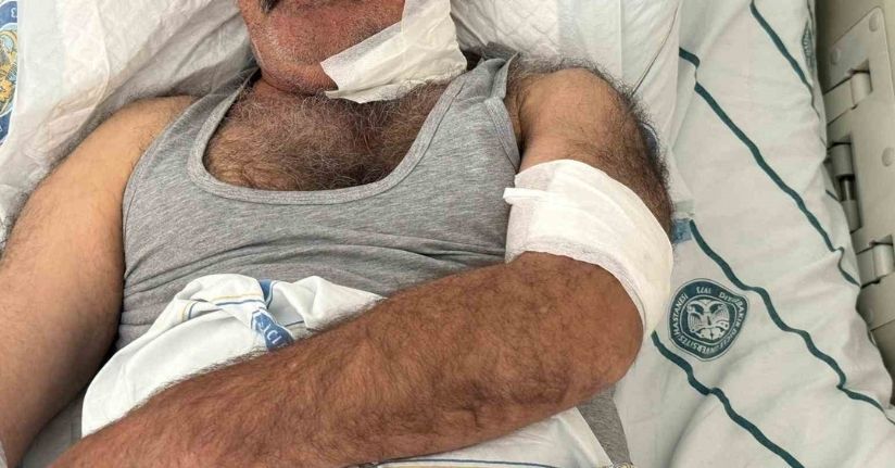 At sahibini boğazından ısırarak ağır yaraladı