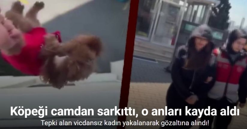 Köpeği camdan sarkıttı, o anları kayda aldı