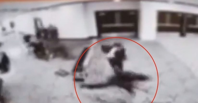 ABD Başkanı Trump, katıldığı yemekte silah sesleri duyulması üzerine salondan çıkarıldı