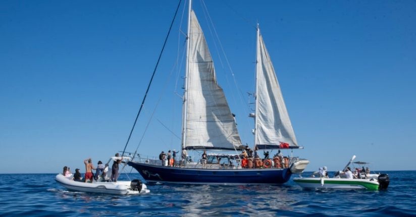 Küresel Sumud Filosu ‘2026 Bahar Misyonu’ İtalya'dan yola çıktı