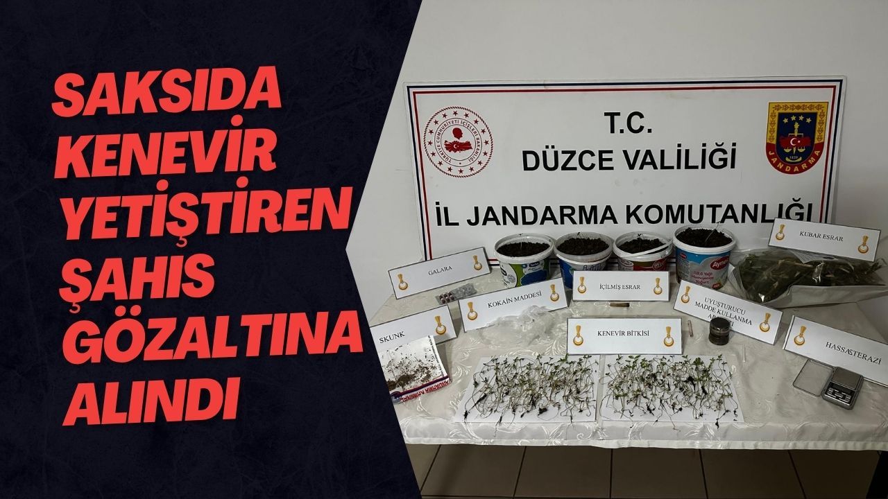 Saksıda Kenevir Yetiştiren Şahıs Gözaltına Alındı