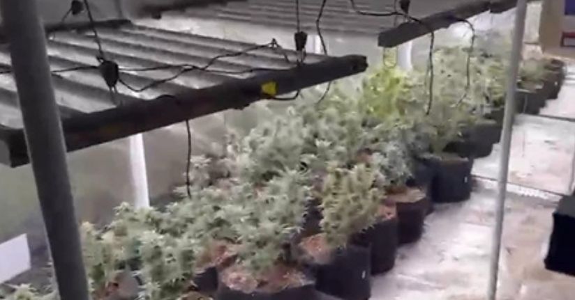 Uyuşturucu imal edilen eve operasyon: 2 tutuklama