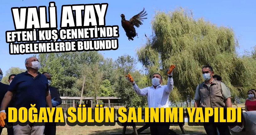 Vali Atay Efteni Kuş Cenneti’nde İncelemelerde Bulundu