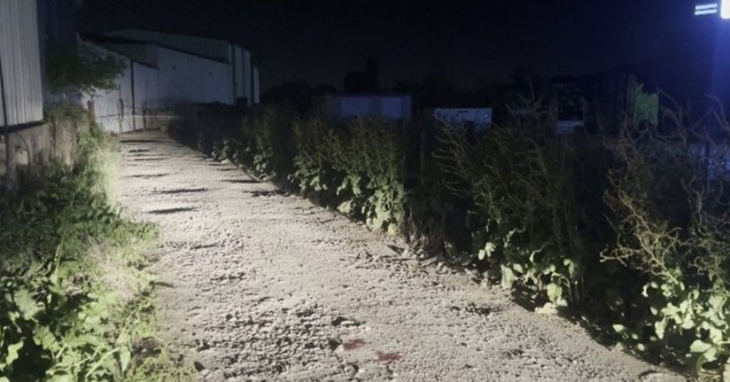 Kadın avukat ablası adına açtığı davayı geri çekmediği için öldürülmüş