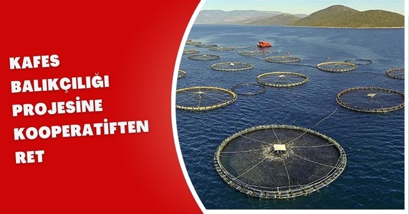 Kafes balıkçılığı projesine kooperatiften ret