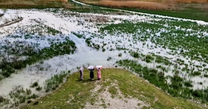 Akşehir Gölü, 8 yıllık kuraklık sonrası canlanıyor